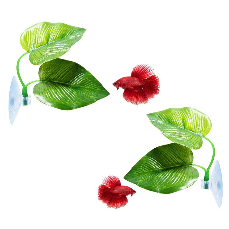 CousDUoBe 2 Pack Betta Fish Leaf Pad Improves Betta's Health by Simulating The Natural Habitat - Natural, Organic, Comfortable Rest Area for Fish Aquarium Ornaments - Image 1